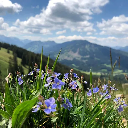 Bergquell Tirol 公寓