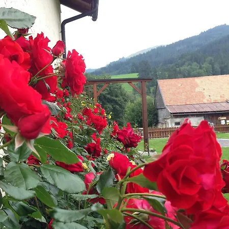 Bergquell Tirol