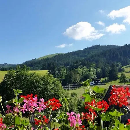 Bergquell Tirol Apartamento Jungholz