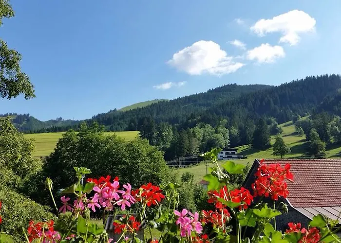 Bergquell Tirol Lejlighed Jungholz